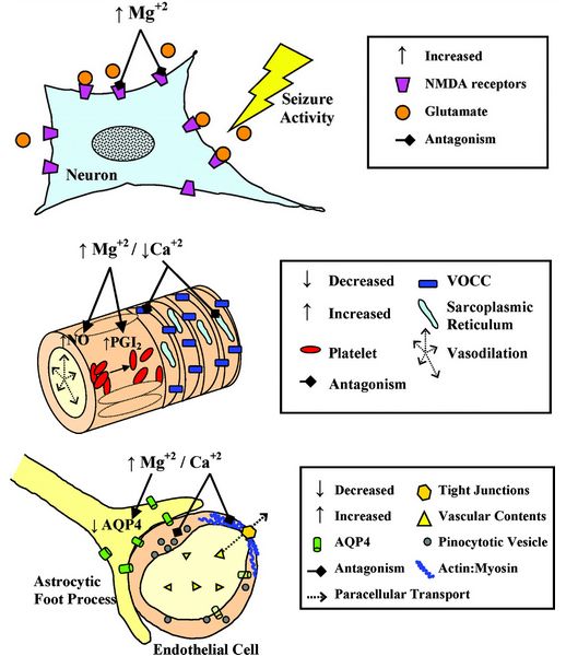 Updates On Pregnancy Induced Hypertension Management