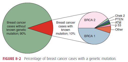 breast-cancer-risk-factors-epomedicine