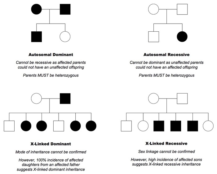 how to tell if a trait is dominant in a pedigree