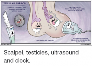 torsion testicular testis epomedicine testicles acute doppler swelling clapper deformity spermatic medcomic