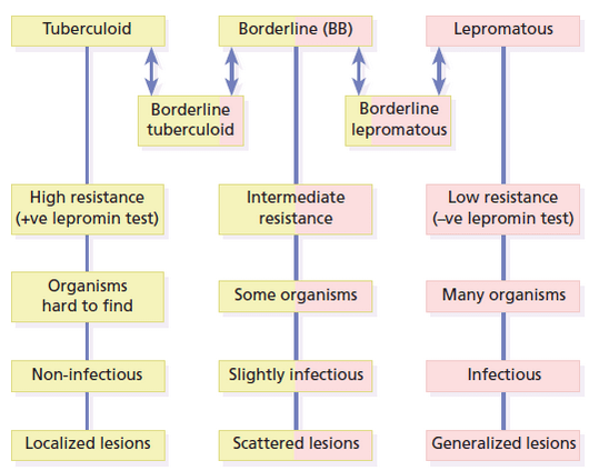 tuberculoid leprosy symptoms