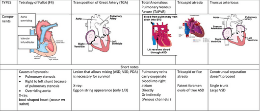 peripheral cyanosis in newborn