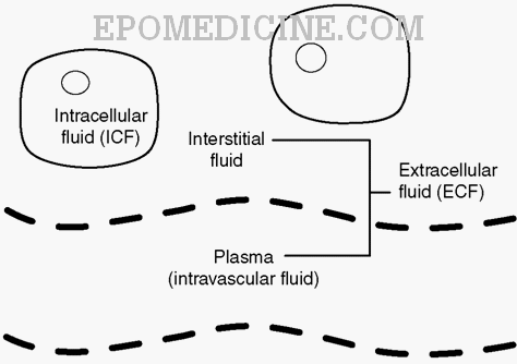 sacral area edema