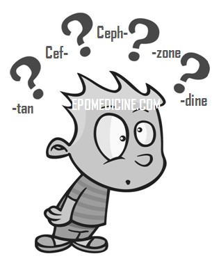 Cephalosporin confusing