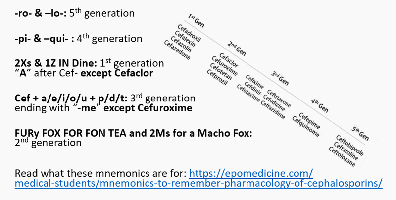 Cephalosporin Generations Chart