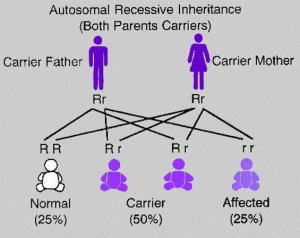 AutosomalRecessiveInheritance