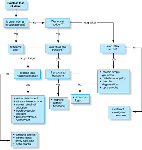 painless loss of vision