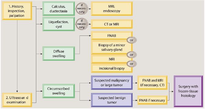 parotid gland swelling differential diagnosis