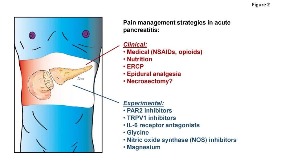 pain management in acute pancreatitis