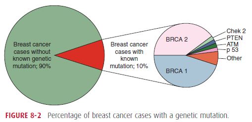 breast cancer genes