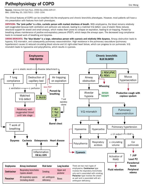 copd pathophysiology