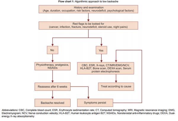 https://epomedicine.com/wp-content/uploads/2016/01/low-back-pain-investigation.jpg