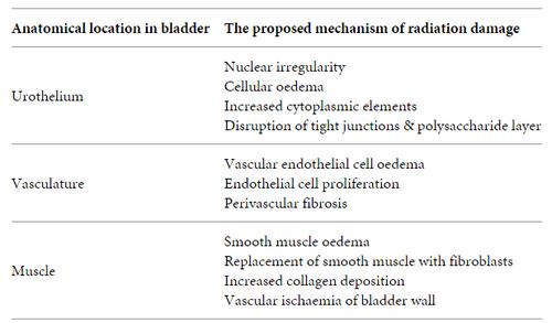 radiation cystitis mechanism