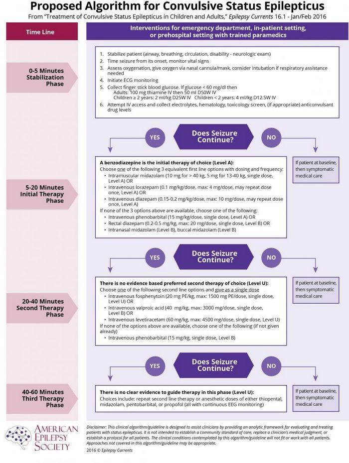 Status Epilepticus And Neonatal Seizures Updated Management Epomedicine 7617