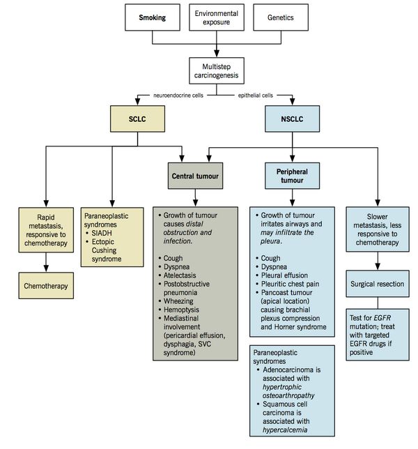 lung cancer pathophysiology