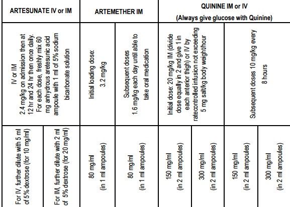 severe malaria treatment