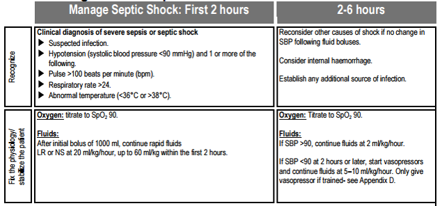 sepsis early management