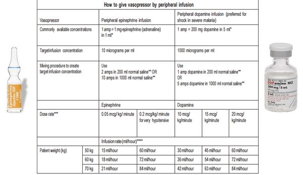 peripheral vasopressor guidelines