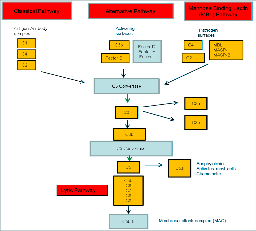 Complementcascade