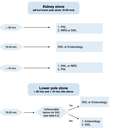 renal stone treatment