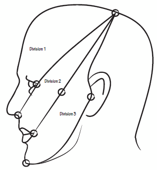 trigeminal sensory map