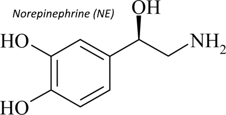 Norepinephrine structure