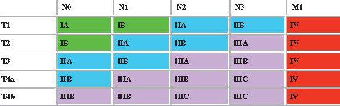 Gastric Cancer Staging