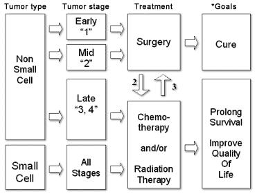 Lung Cancer Staging Chart