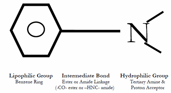 amide and ester