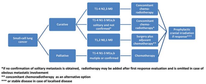 small cell lung cancer approach