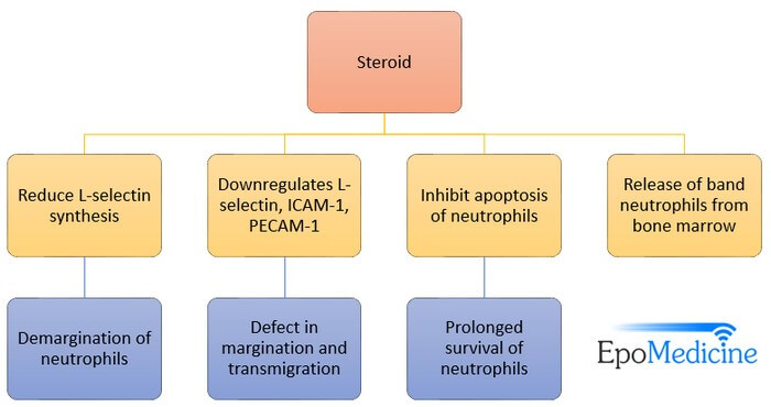 Steroid Induced Leukocytosis Epomedicine