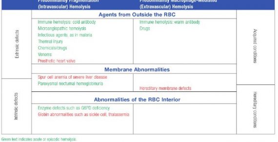 Anatomical basis of Wallenberg (Lateral Medullary) Syndrome : Mnemonic ...