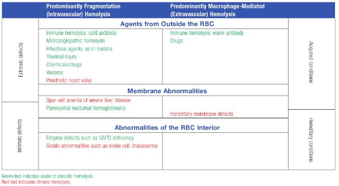 hemolysis causes