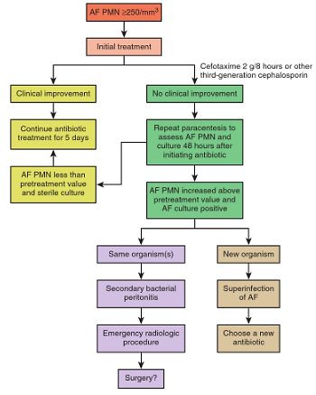 Ascitic Fluid Analysis : How to come to diagnosis? | Epomedicine