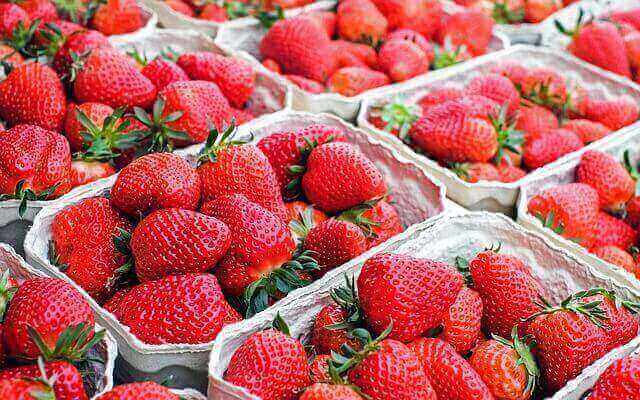Strawberry in Medicine | Epomedicine