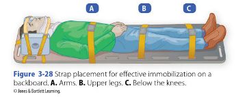 log maneuver rolling roll steps epomedicine source placement strap