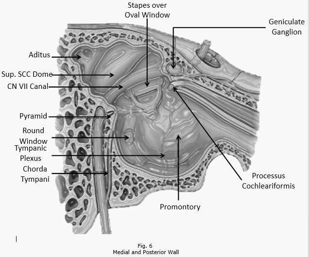 middle ear medial posterior wall