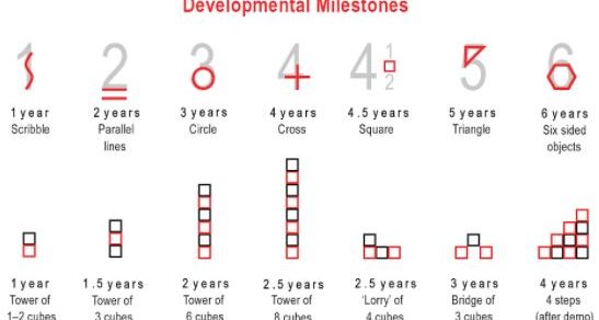 development milestones