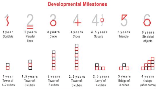  jalons de développement 