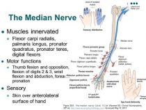 Epomedicine | E-Portal Of Medicine