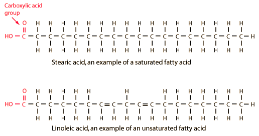 Structure of Fatty acids and Derivatives : Simplified | Epomedicine