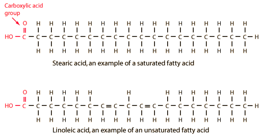 Structure of Fatty acids and Derivatives Simplified Epomedicine