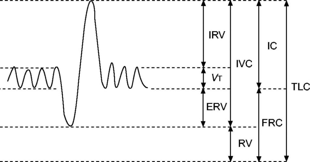 lung volumes and capacities