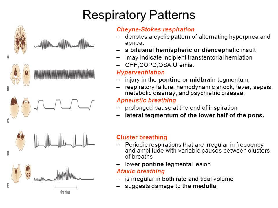 Respiratory Breathing Patterns