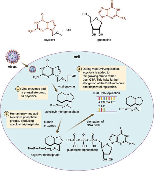 acyclovir mechanism