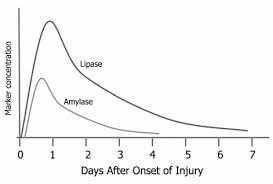 Amylase and Lipase in Acute Pancreatitis | Epomedicine