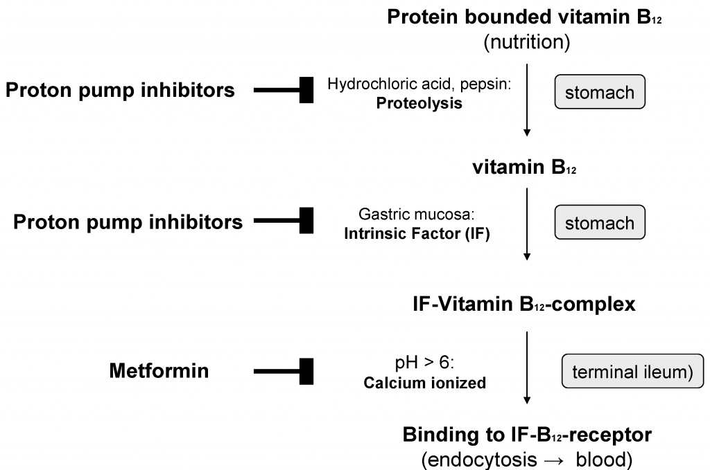 vitamin b12, ppi, metformin