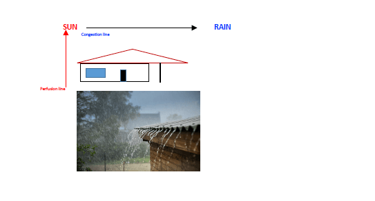 sun and rain classification