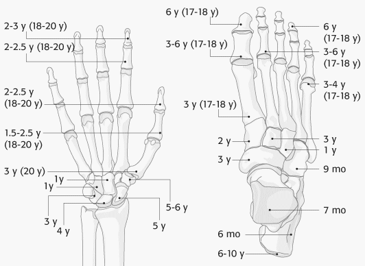 foot and hand ossification centers