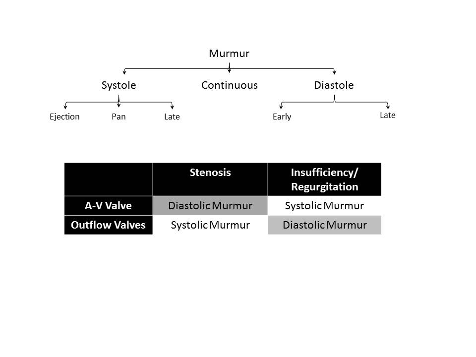 Heart Sounds Murmurs Epomedicine